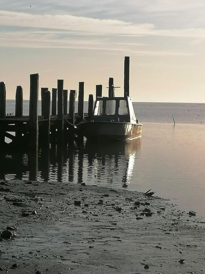Dock10Texel Bed & Breakfast De Cocksdorp  Exterior foto